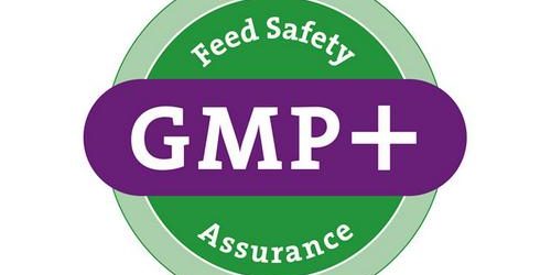 GMP